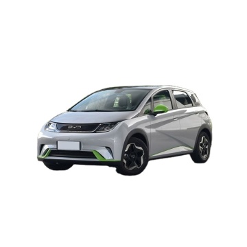 Delicate Appearance Electric China Dolphin New Energy Vehicle