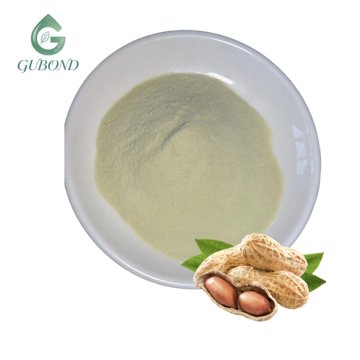 مكون بروتين الفول السوداني لإنتاج الأغذية التجارية