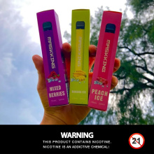 New 14 Flavors 1000 Puffs Maskking Disposable Vape