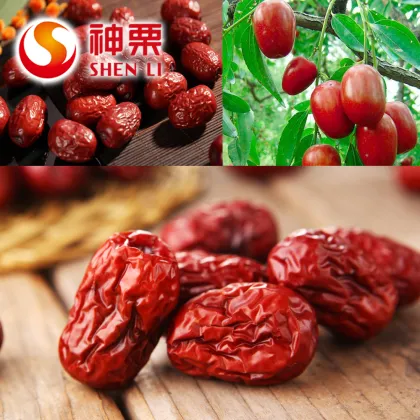 Roasted Dried Chinese Red Dates