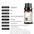 Water Soluble Chili Essential Oil For Massage Slimming