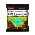 PGPB 05 PGPRB B Megaterium