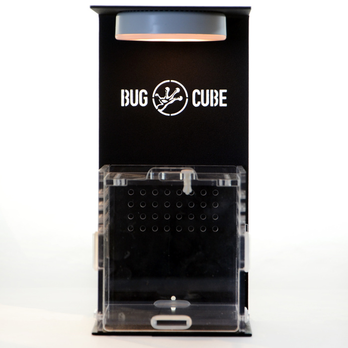 Caixa de criação de acrílico de alta transmissão de tamanho personalizável