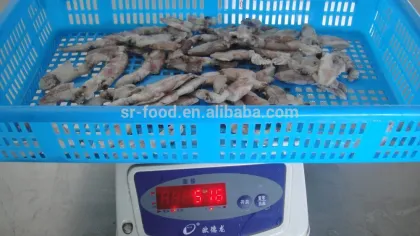 wild caught fresh baby squid BQF or IQF