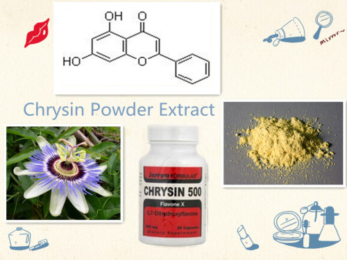 Natural Chrysin Powder Extract