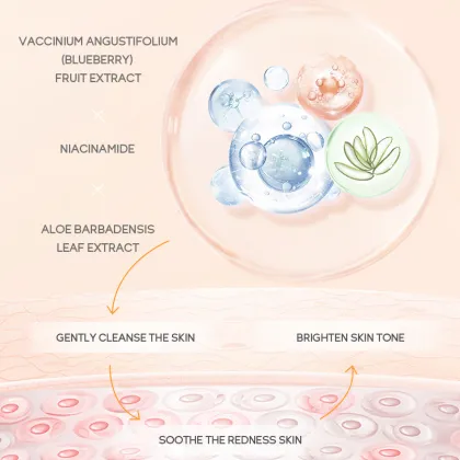 Wholesale Natural Vitamin C Deep Cleansing Whitening Moisturizing Facial Cleanser: Premium Skincare Solution