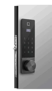 Smart WiFi Fingerprint Door Lock