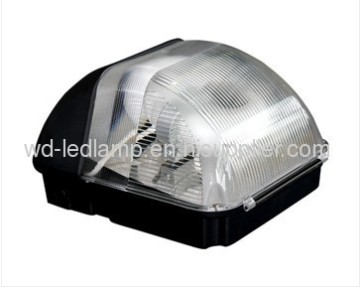 Lvd Induction Wall Lamp Lcl-wl001 