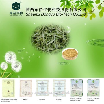 High quality Natural Instant Green Tea powder for beverage