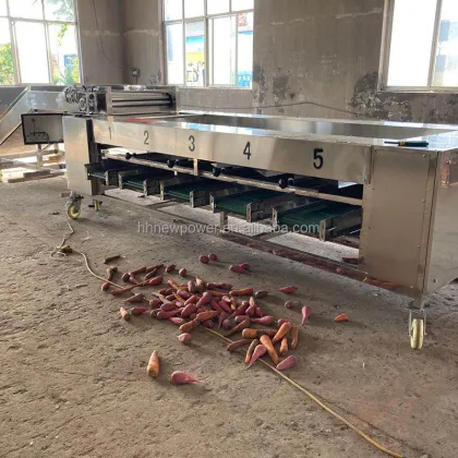 Vegetable & Fruit Sorting and Grading Machine