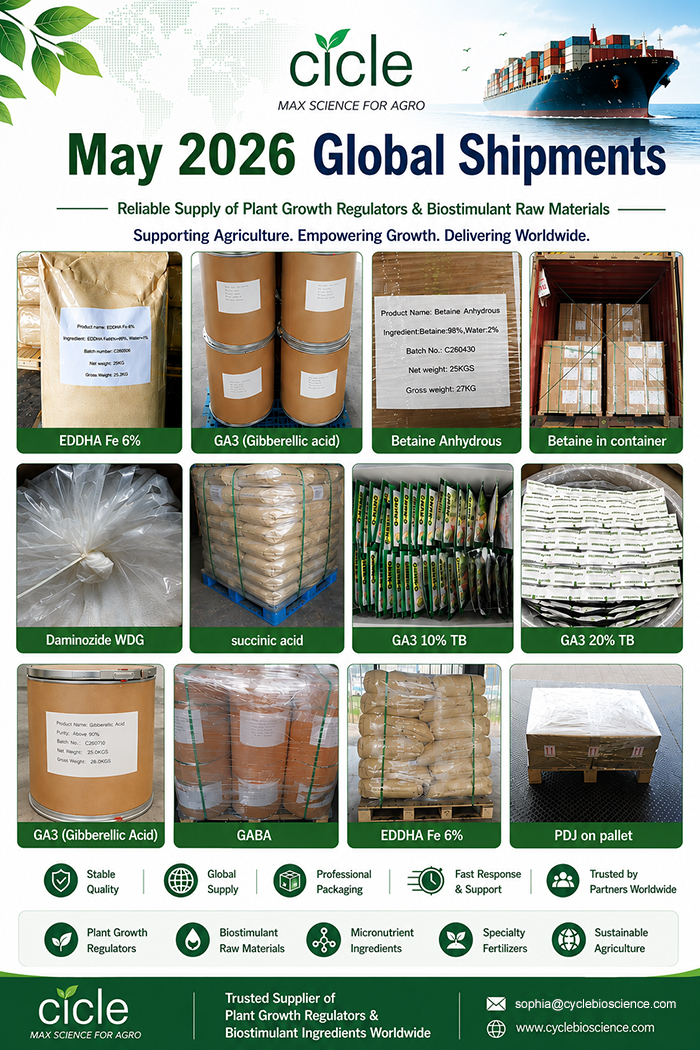 remessa shipment
