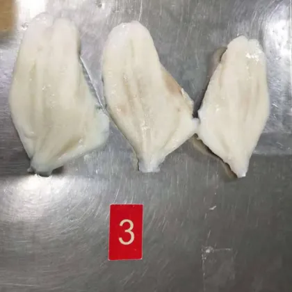 Frozen Zeus Faber John Dory Fillets