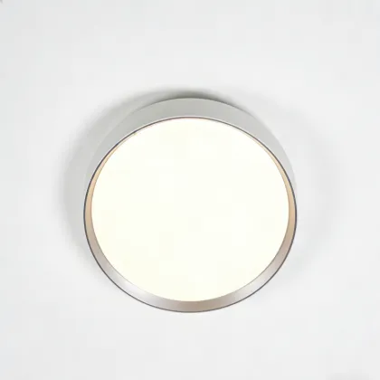 Ultra thin flush ceiling light