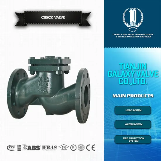 PN 16 bar Flange/wafer lift check valve