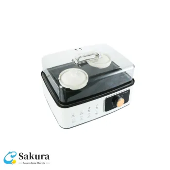Innovative Electric Steamer for Healthy Kitchen