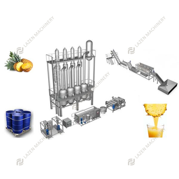 Affordable Juice Pulp Making Machine for Exotic Fruits