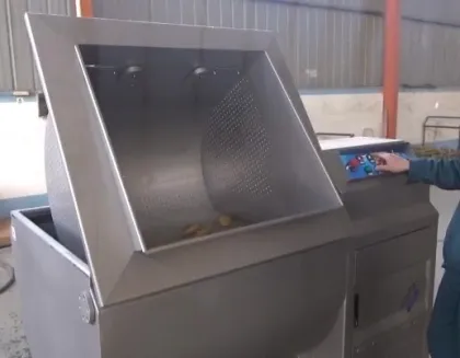Fully automatic vegetable washing machine