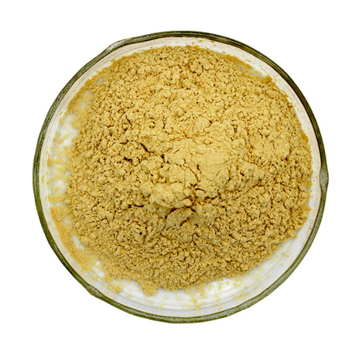 phlorizin powder apple extract in bulk