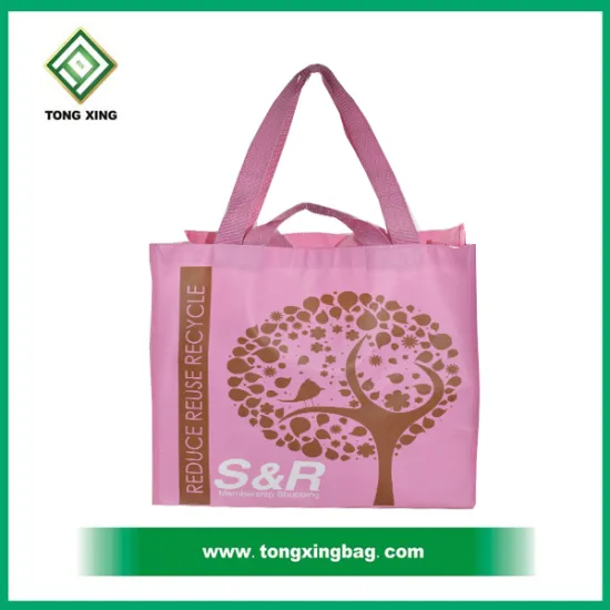 Double handle full screen printing 90gsm non woven bag