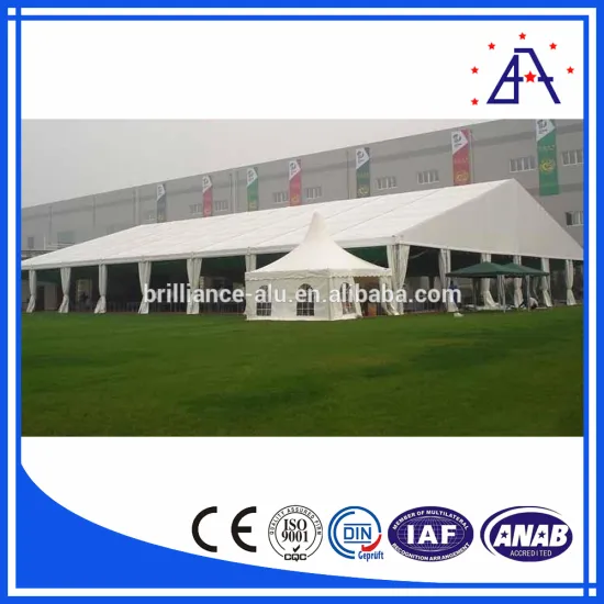 Custommized Aluminum Frame Tent