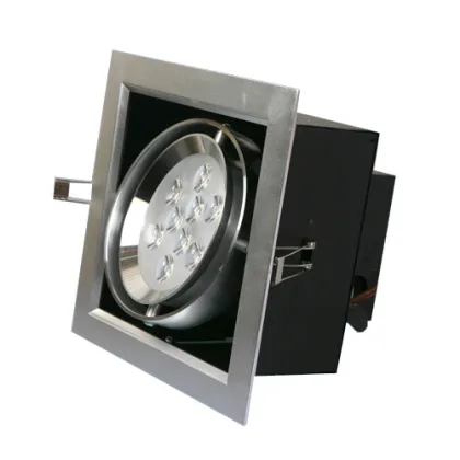 9W Grid Light