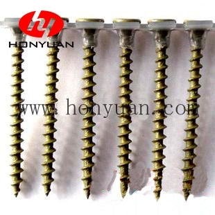 Top Grade Collated Floor Screws