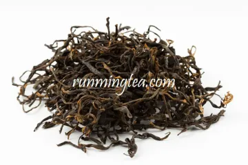 First Flush Spring Guangdong Jinxuan Maofeng Black Tea