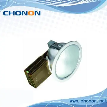 Housing Rust - Free Champagne DownLight Fitting