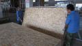 Mobili Grade OSB 3 Board con Phenolic(WBP) colla