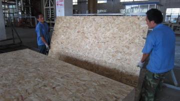Bulk OSB Board von Wagen in die Mitte-Asien und Russland
