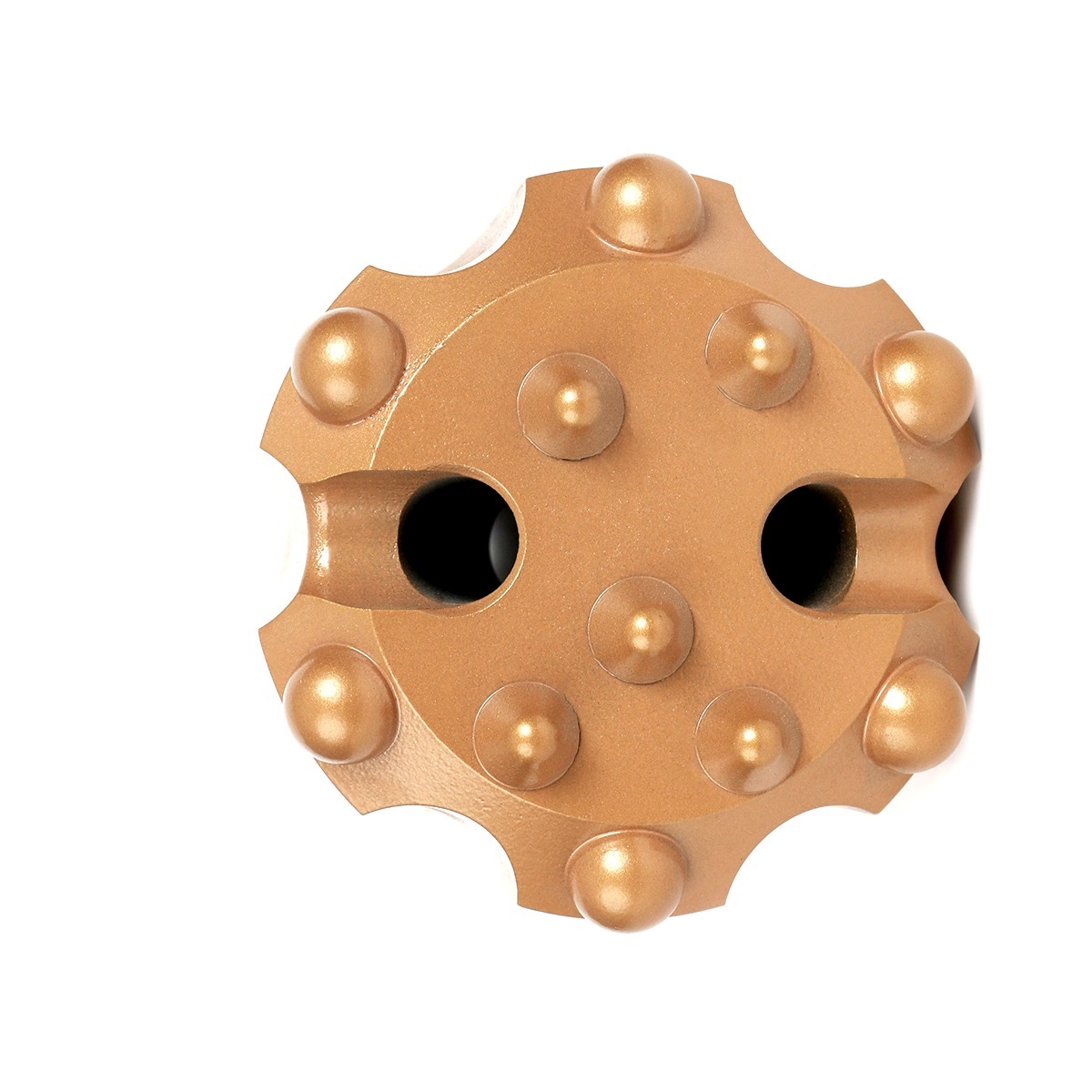 photobank - 2024-09-11T153131.473