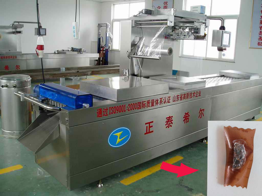 Seafood and Fish Fillet DZR420 Vacuum Packing Machine