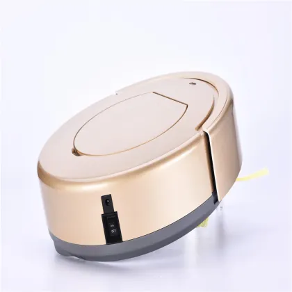 Automatic Clean Sweeping Robot