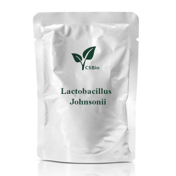 Polvere di probiotici di Lactobacillus Johnsonii