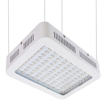 300W Square LED Panel Light: An Efficient LED Plant Grow Light Solution