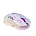 Mouse da gioco wireless da 2,4 GHz con interfaccia di tipo C