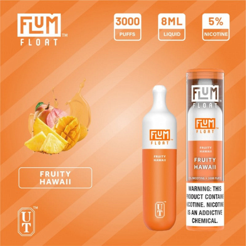 Flum Float Disposable Vape Provides Users