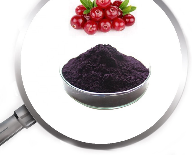 Cranberry Extract Powder 6 Png