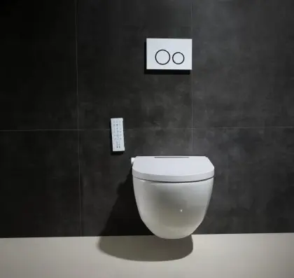 Floor mounted new style electronic intelligent toilet