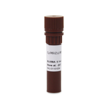 Cy3 AffiniPure Goat Anti-Rabbit IgG (H+L)