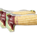 White Sweet Waxy Corn Cobs