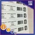 Eggshell Fragile Paper Security Label Seal