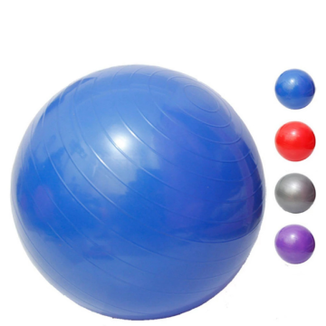2023 Top Seller Non-slip Anti-burst Gym Exercise Yoga Ball