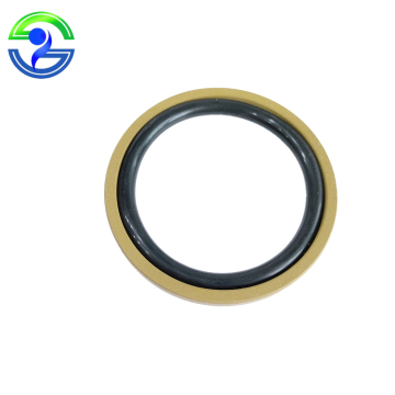 SPGO Type Seal Glyd Ring and SPGW Type Piston Seal Kit for Excavator