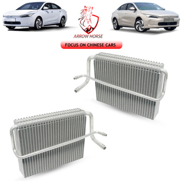 Evaporator AC mobil berkualitas tinggi untuk Haval H5/H9/M6/F5/F7