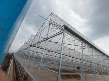 Καταφύγιο αγροκτήματος φιλμ σε σχήμα πριονιού