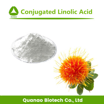 Microencapsulated Conjugated Linoleic Acid FFA-CLA Powder