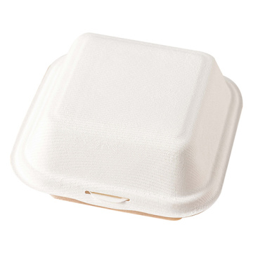 Custom Disposable Burger Boxes for Takeaway & Fast Food