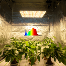 Waterproof quantum led grow light