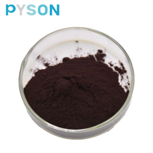 Bilberry Extract Anthocyanins 25%